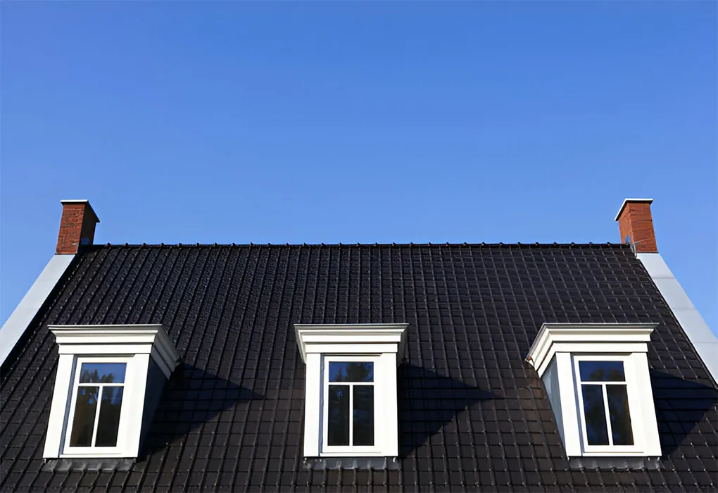 Skylight & Velux Window